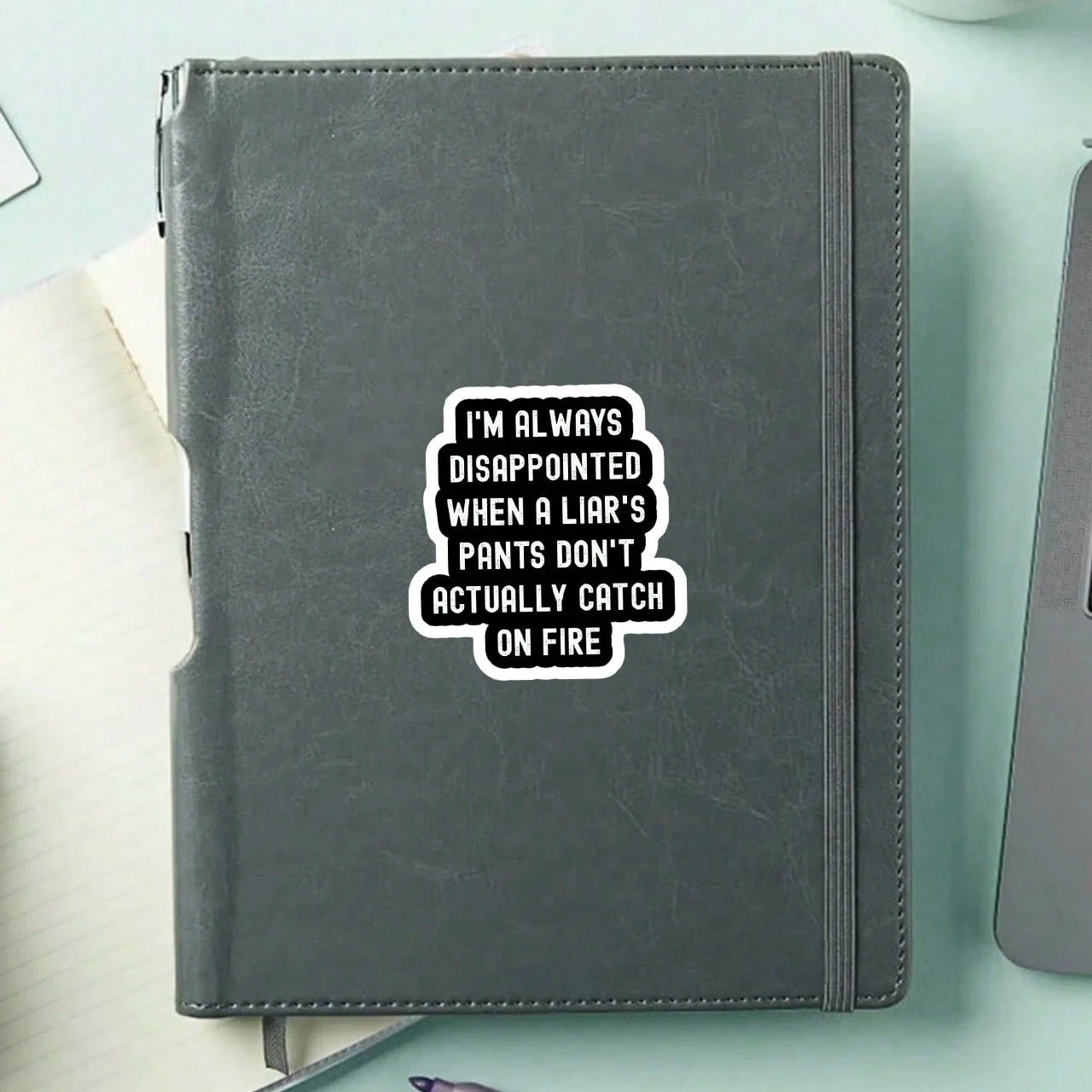 1/3/5Pcs"I'M ALWAYS DISAPPOINTED WHEN A LIAR'S PANTS DON'T ACTUALLY CATCH ON FIRE!" 3 Inch Vinyl Sticker, Funny Quote Decal, Waterproof Die Cut; For Laptop, Water Bottle, Tumbler, Phone Case, Tablet
