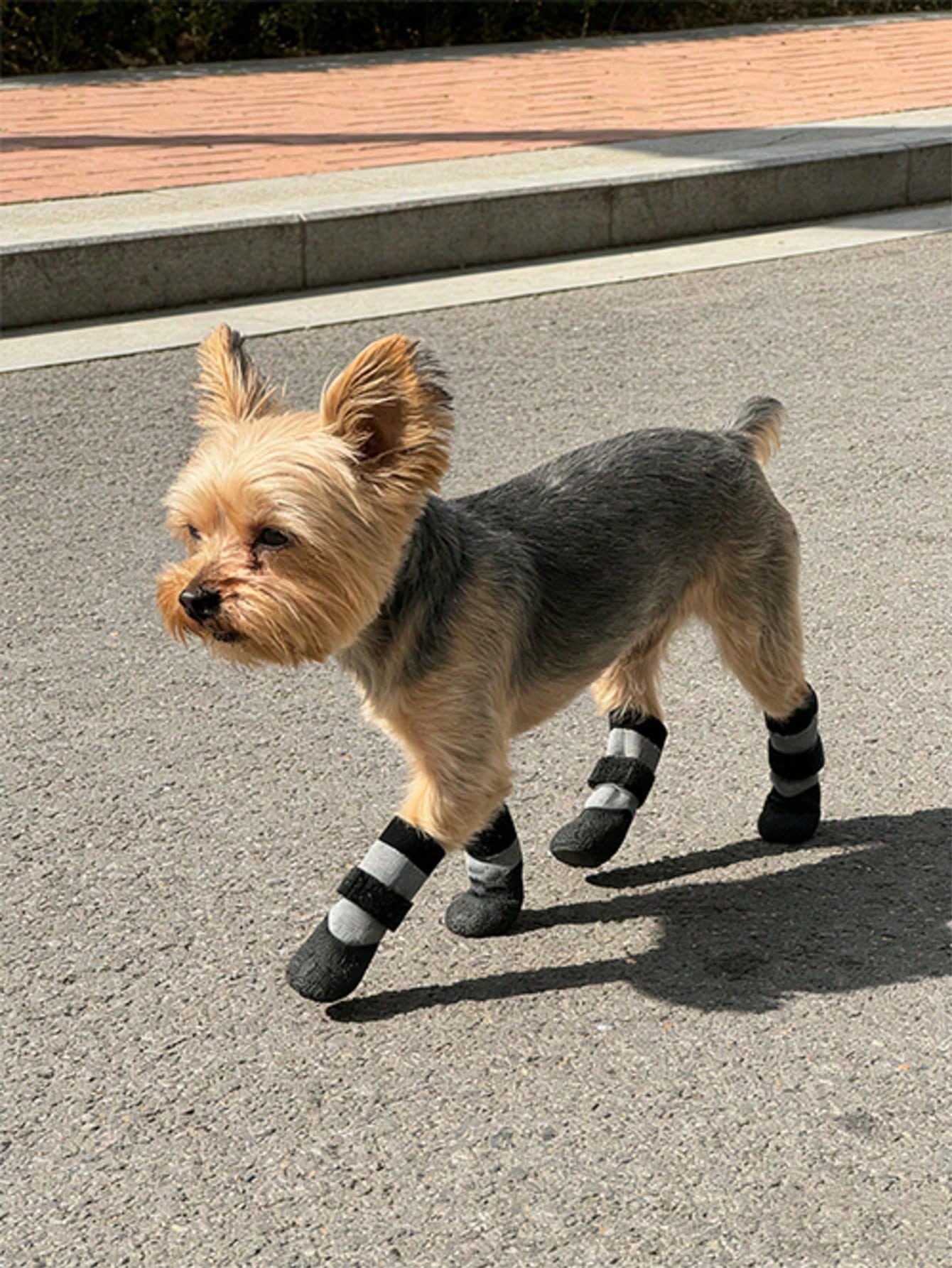 1 Pair Waterproof Anti-Slip Dog Boots- Winter Paw Protection, Small To Medium Dog Slip-On Pet Shoes- Suitable For Walking, Snow Use, Fits Teddy, Golden Retriever And All Dog Breeds (Easy To Put On A