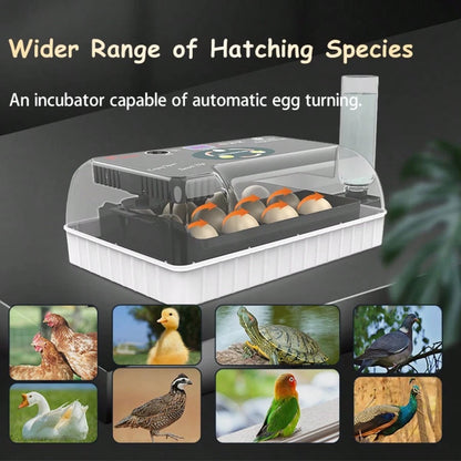 12 Upgrade Egg Incubator- Automatic Egg Turner, Temperature Control, Built-In Candler, Auto Water Refill For Hatching Chicken, Duck, Quail & Bird Eggs