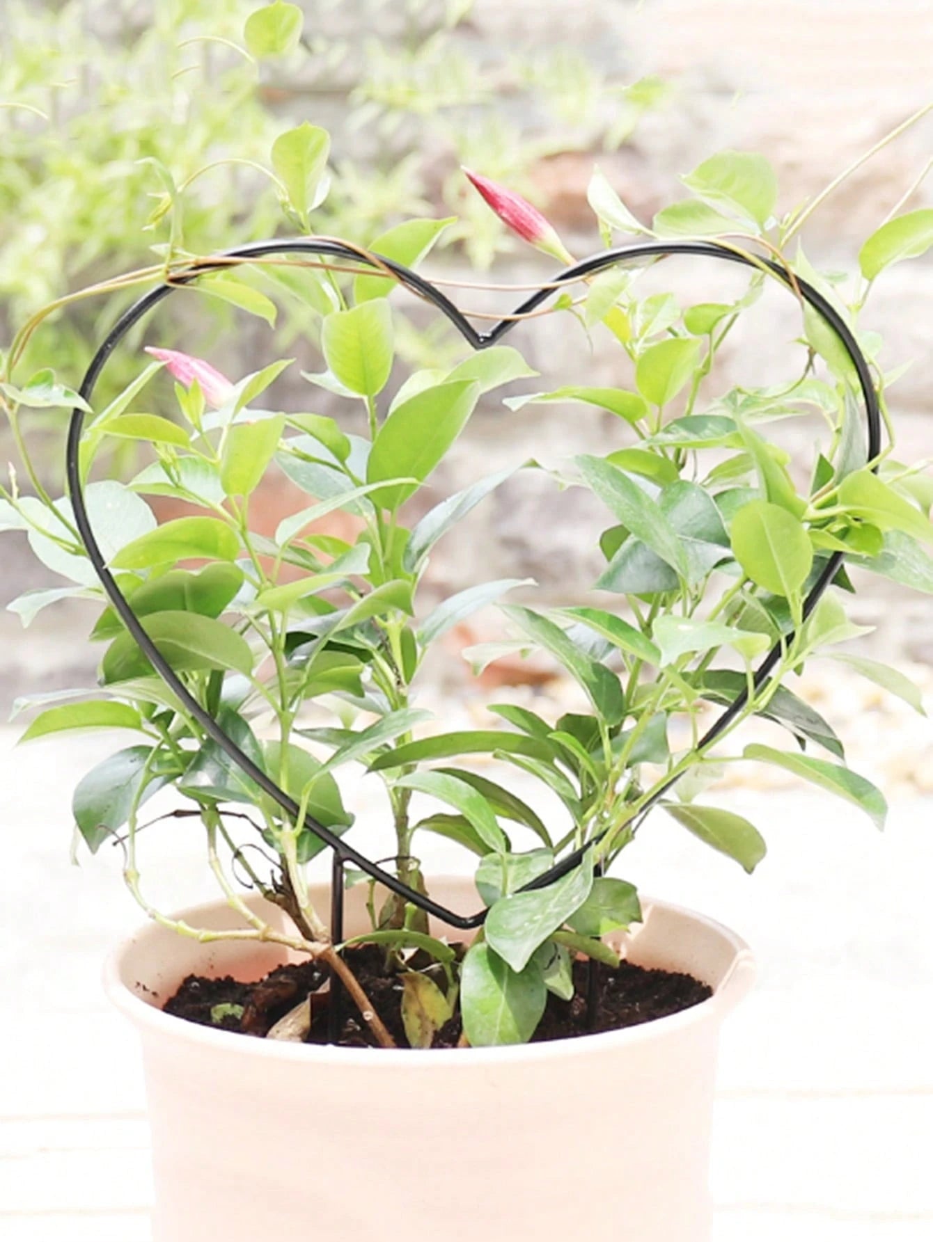 1pc Metal Garden Plant Trellis, Decorative Potted Plant Support Pole, Black Coated, Iron Climbing Plant Stand, Suitable For Flowers And Vegetables
