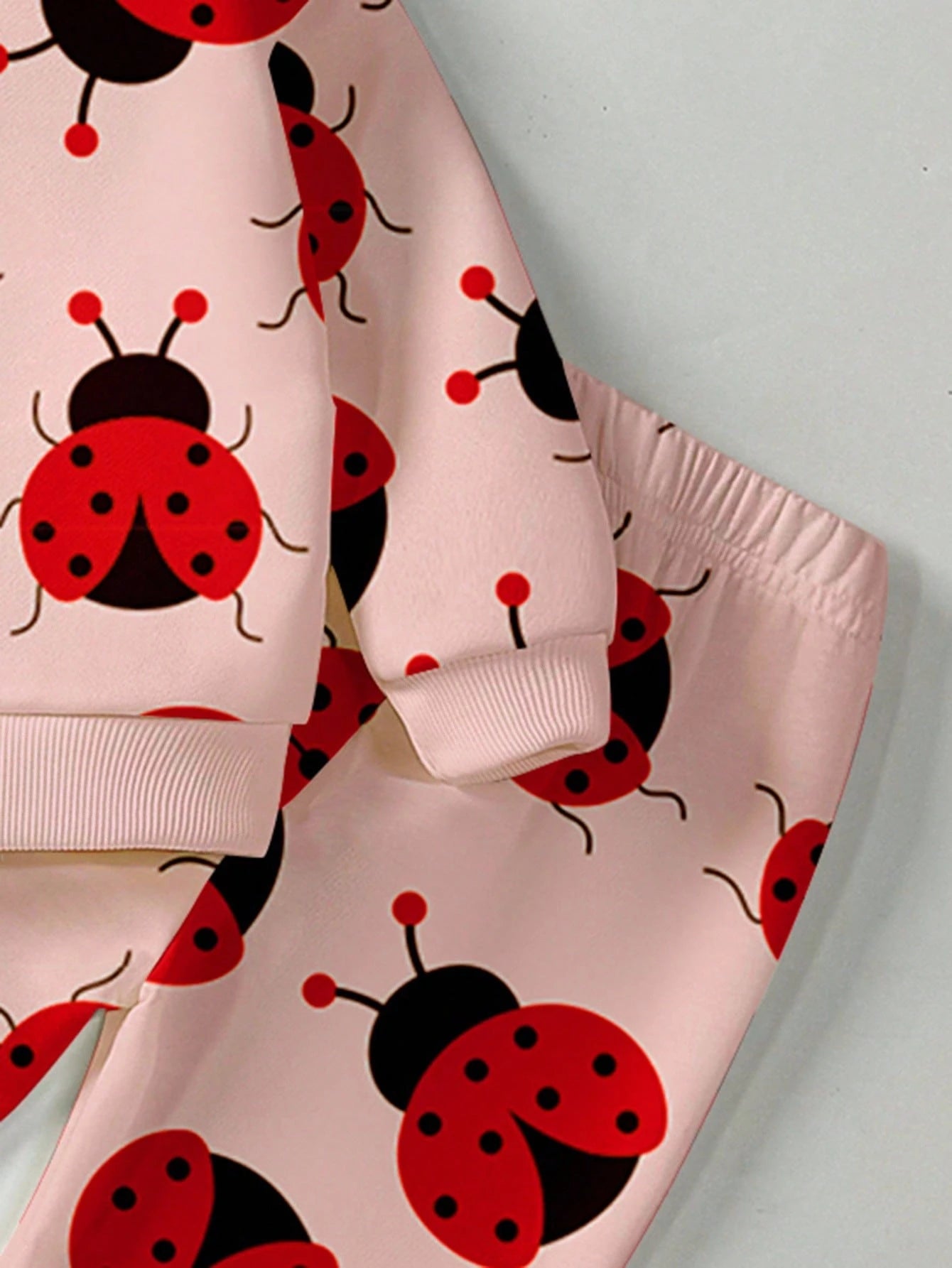 2pcs Baby Girls Casual Fashion Cute Pastoral Style Ladybug Allover Print Pink Crew Neck Sweatshirt And Matching Print Sweatpants Set, Cute Animal Graphic Pullover Outfit For Fall, Autumn Clothing For