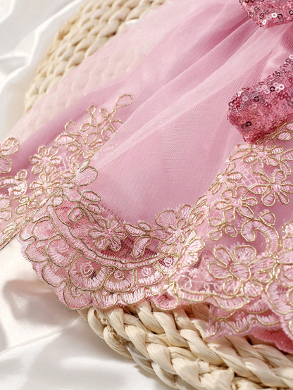 2pcs Champagne Newborn Photography Clothing Set, Baby Girls' Princess Embroidered Mesh Dress, Bowknot Lace Princess Skirt For Photo Shoot