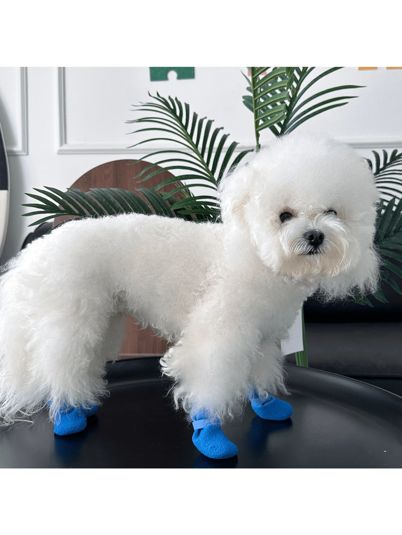 4pcs/Set Waterproof Pet Dog Shoes (Random Style), Non-Slip Soft Sole, Scratch-Resistant & Wear-Resistant, Washable & Reusable, Durable Pet Boots Suitable For Bichon, Corgi, Teddy And Other Dog Breeds