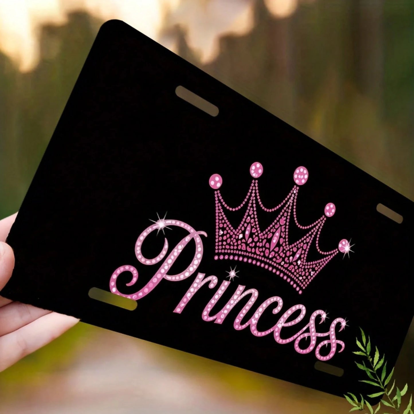 [Activate] 2D Flat, 2D Plane Available Decoration Only [Enable] 2D Plane Is Decorative Purposes Only, 2D Plane Design, Specially Designed Men And Women's License Plates And Number Plates. Princess Shi
