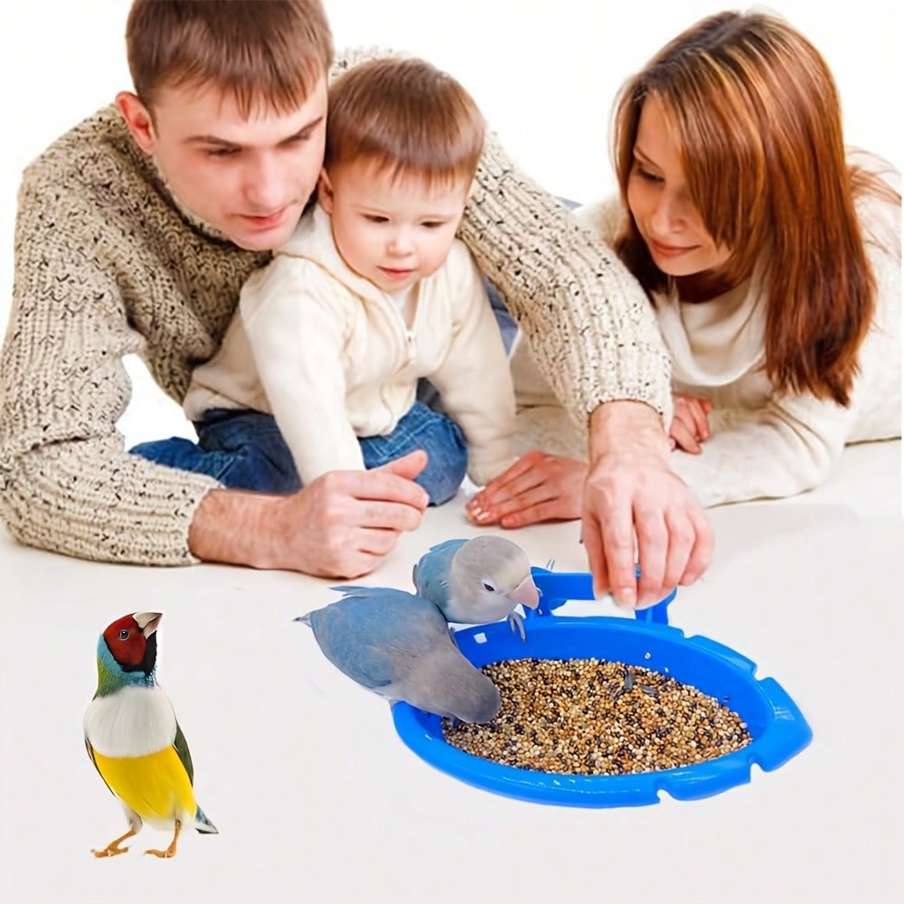 Bird Bath Cage With Randomly Colored Balls, Feeding Bowl, Bird Bath Basin, Basin, Hanging Bird Bath, Toy, Shower, Parrot, Cockatiel, Shower Box, Food Feeder, Tray, Bird Cage Accessories
