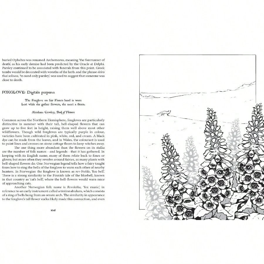 Botanical Curses And Poisons: The Shadow-Lives Of Plants