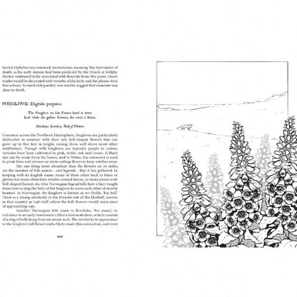 Botanical Curses And Poisons: The Shadow-Lives Of Plants