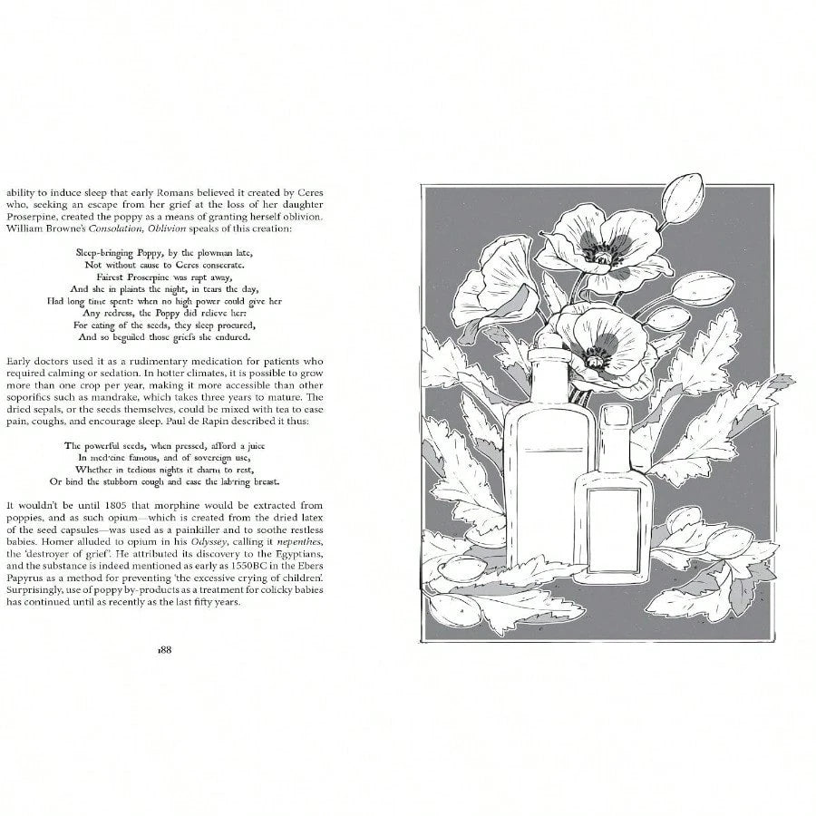 Botanical Curses And Poisons: The Shadow-Lives Of Plants