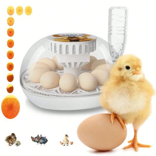 Egg Incubator For Hatching Chicks, 12-24 Egg Incubators With Auto Turning, Automatic Water Top-Up, Fahrenheit Display, 360° View Poultry Incubator For Hatching Chicken Duck Quail Parrot