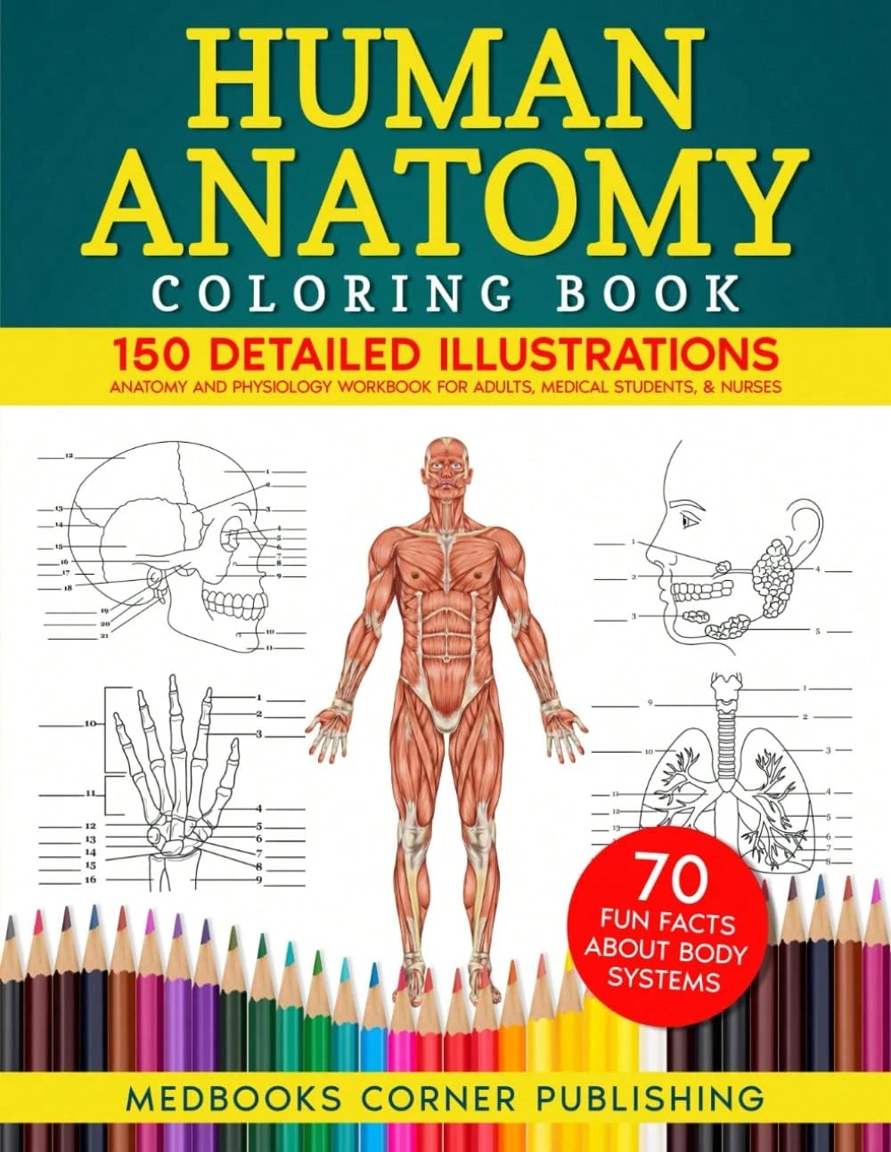 Human Anatomy Coloring Book: 150 Detailed Illustrations & 70 Fascinating Facts In An Anatomy And Physiology For Adults, Medical Students, & Nurses