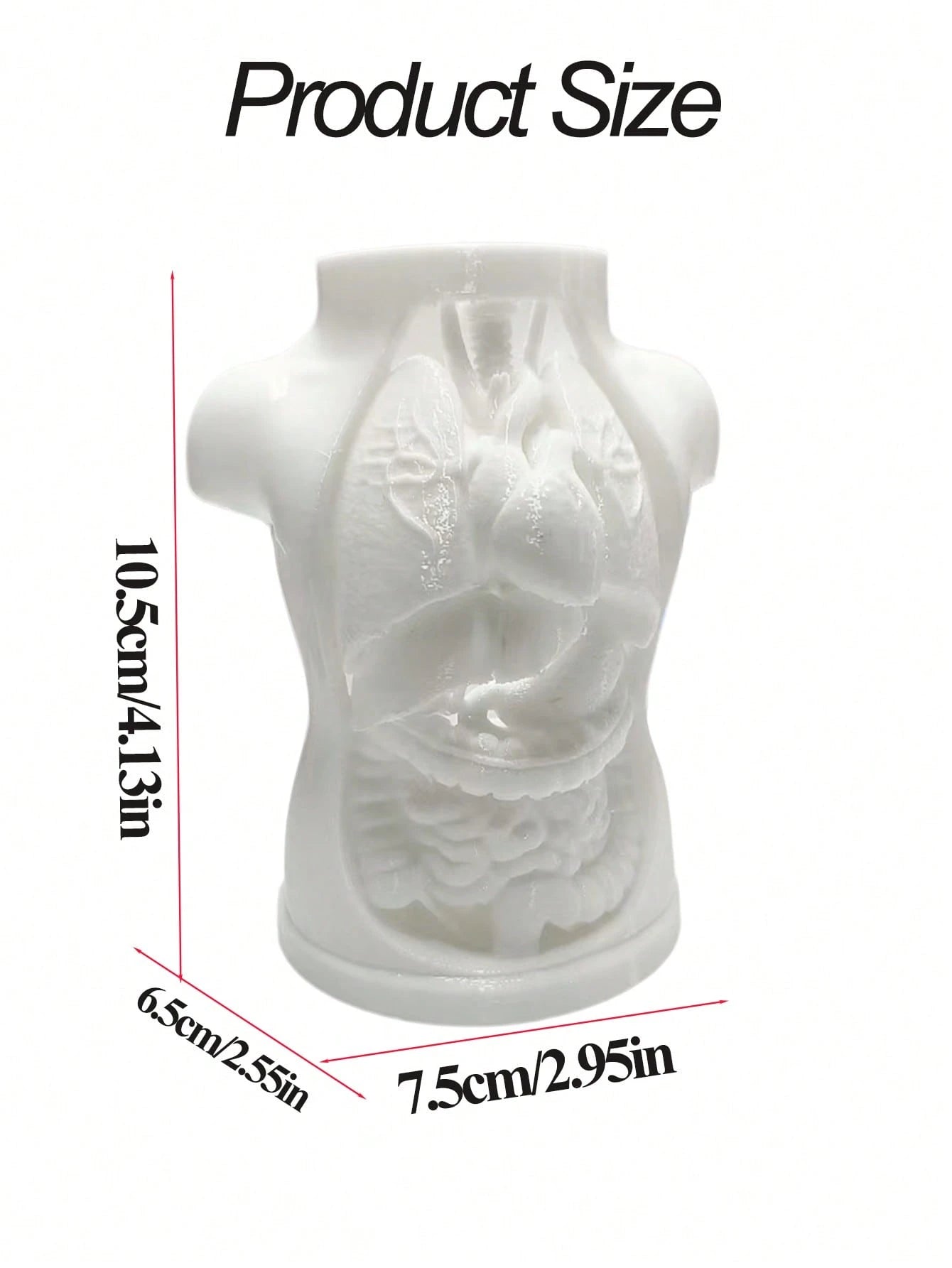 INS Cream Style Human Internal Organs Chest Cavity Shaped Pen Holder, Desktop Decor Storage Tube, Office Desk Pencil Organizer, Human Anatomy Torso Pen Holder, Halloween Atmosphere Desktop Decor Makeu