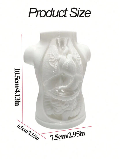 INS Cream Style Human Internal Organs Chest Cavity Shaped Pen Holder, Desktop Decor Storage Tube, Office Desk Pencil Organizer, Human Anatomy Torso Pen Holder, Halloween Atmosphere Desktop Decor Makeu