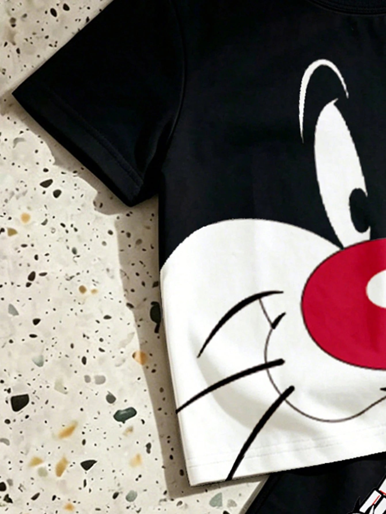 LOONEY TUNES X GraphicGems Baby Boy Round Neck Cartoon Print Short Sleeve T-Shirt And Shorts Casual Daily Outfit