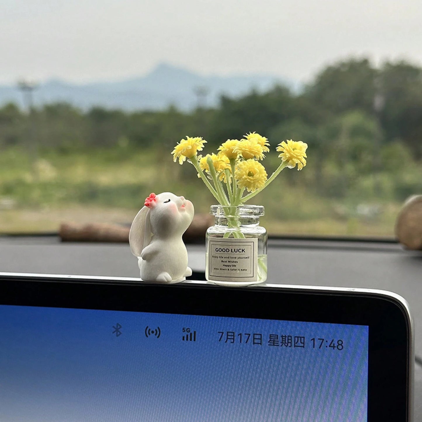 [Mini Resin Vase] Cute Resin Mini Butterfly Rabbit Vase| Dashboard & Console Decoration For Vehicle Interior Accessories| Desk Ornament