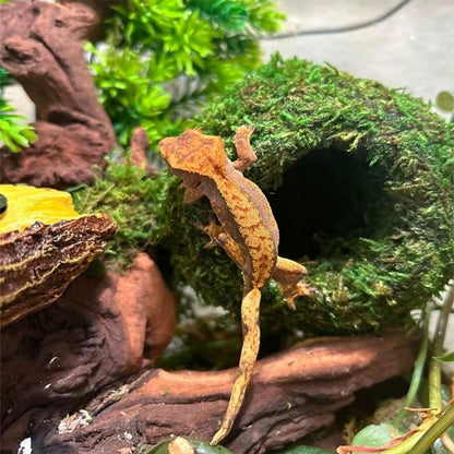 Moss Cave, Artificial Green Moss Cave, Hiding Place For Pets Reptiles Frogs And Snakes, Decoration For Terrarium And Vivarium, Gecko Terrarium Decor (Forest Green)