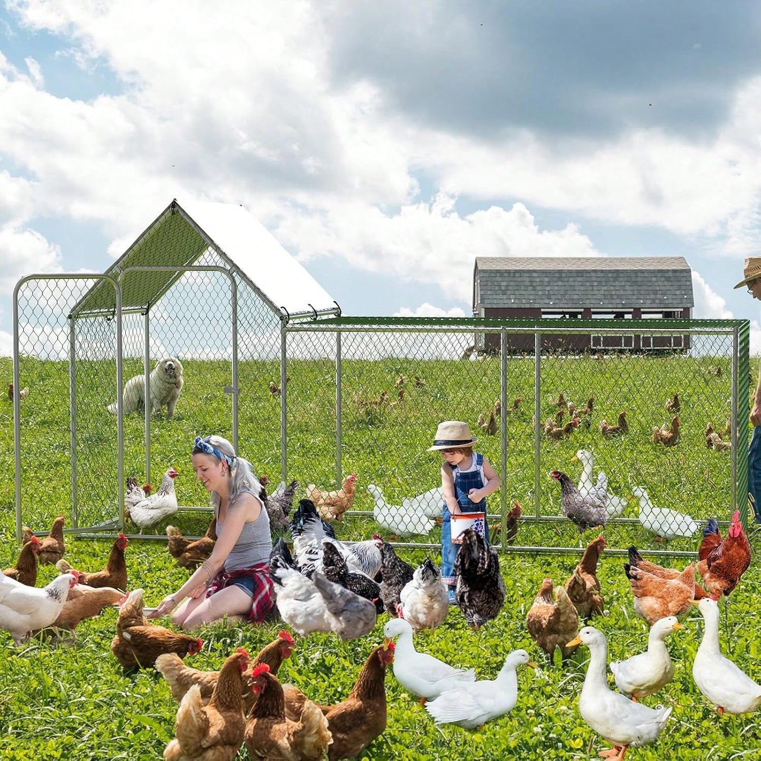 mteryoing Large Metal Chicken Co Op, Chicken Run For Yard With Waterproof And Anti-UV Cover, Walk-In Chicken House For 8/10 Chickens, Rabbits Duck Outdoor Farm Yard