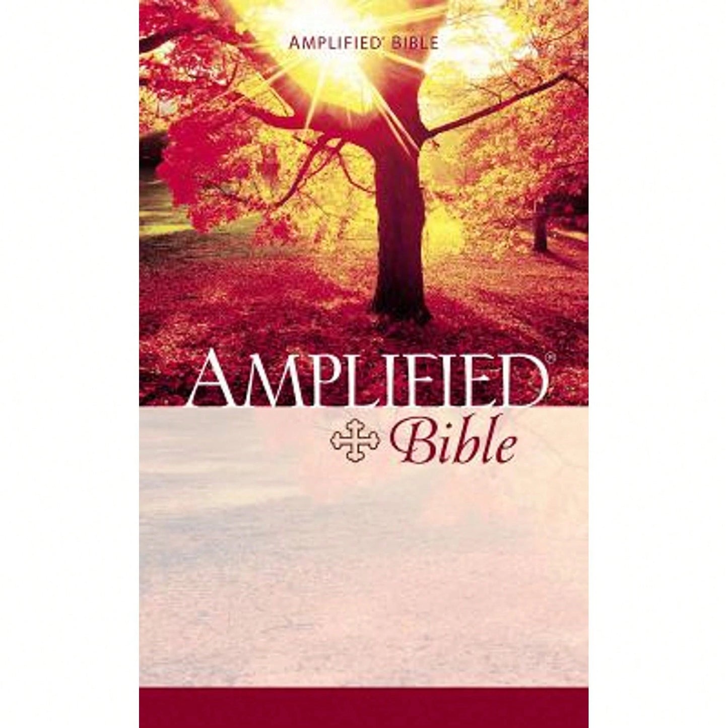 Pre-Owned Amplified Bible-AM (Paperback) By Zondervan