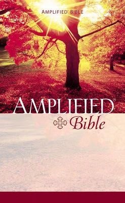Pre-Owned Amplified Bible-AM (Paperback) By Zondervan