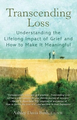 Pre-Owned Healing The Addictive Personality: Freeing Yourself From Addictive Patterns And (Paperback) By Lee L Jampolsky