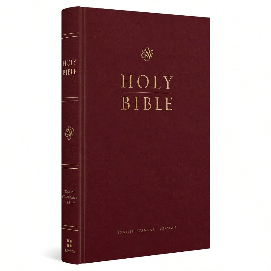Pre-Owned Introduction To The Hebrew Bible, Third Edition- Prophecy (Paperback) By John J Collins