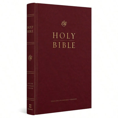 Pre-Owned Introduction To The Hebrew Bible, Third Edition- Prophecy (Paperback) By John J Collins