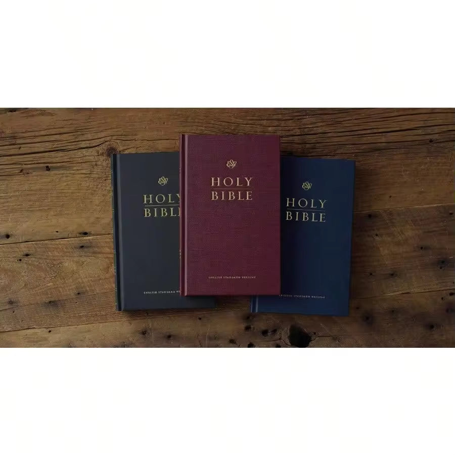 Pre-Owned Introduction To The Hebrew Bible, Third Edition- Prophecy (Paperback) By John J Collins