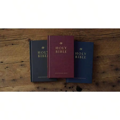 Pre-Owned Introduction To The Hebrew Bible, Third Edition- Prophecy (Paperback) By John J Collins
