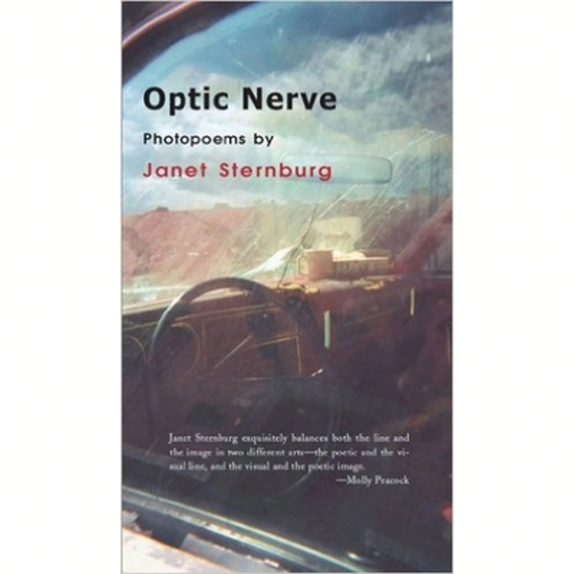 Pre-Owned Optic Nerve (Paperback) By Janet Sternburg