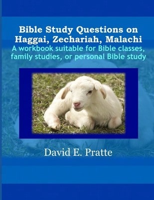 Pre-Owned The Bible And The Transgender Experience: How Scripture Supports Gender Variance (Paperback) By Linda Tatro Herzer