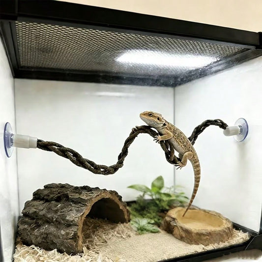 Reptile Climbing Rattan, Suction Cup Climbing Rope, Reptile Supplies And Decor, Climbing Playtime, Climbing Animal Accessories, Reptile Climbing Rope, Terrarium Decor, Suitable For Lizards, Geckos, Sp