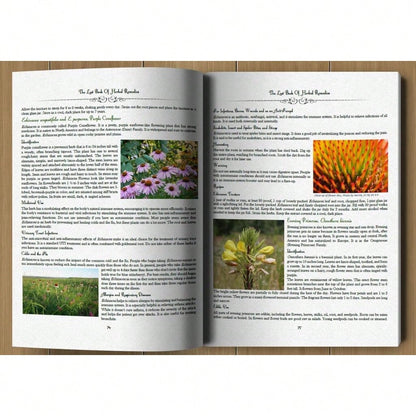 The Healing Power Of Plant Medicine Paperback Colored Inner Pages For Friends Family Herbal Remedies II