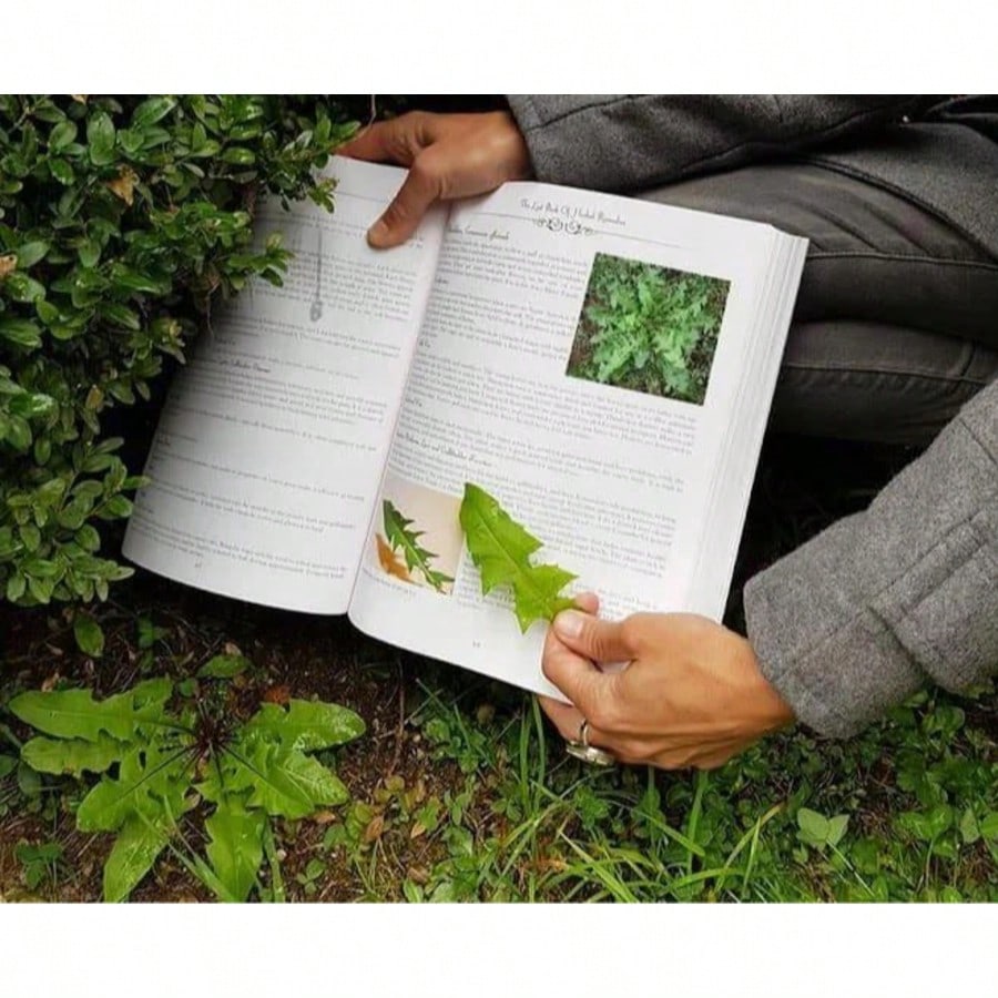 The Healing Power Of Plant Medicine Paperback Colored Inner Pages For Friends Family Herbal Remedies II