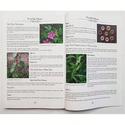 The Healing Power Of Plant Medicine Paperback Colored Inner Pages For Friends Family Herbal Remedies II