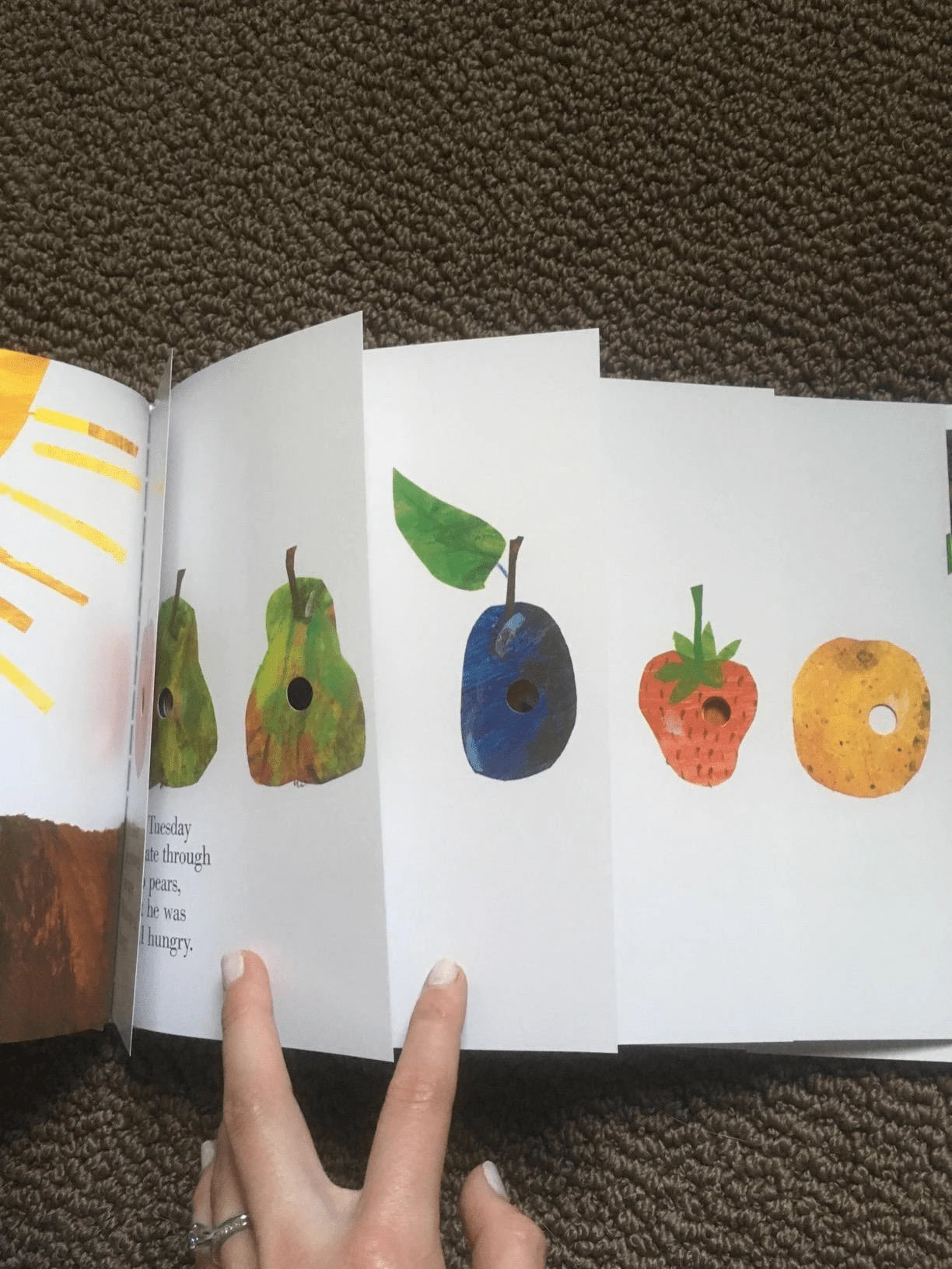 The Very Hungry Caterpillar Board Book, Classic Interactive Picture Book With Die-Cut Pages To Teach Counting, Days Of The Week & Life Cycle, Bright Colorful Illustrations For Toddlers & Preschool Kid