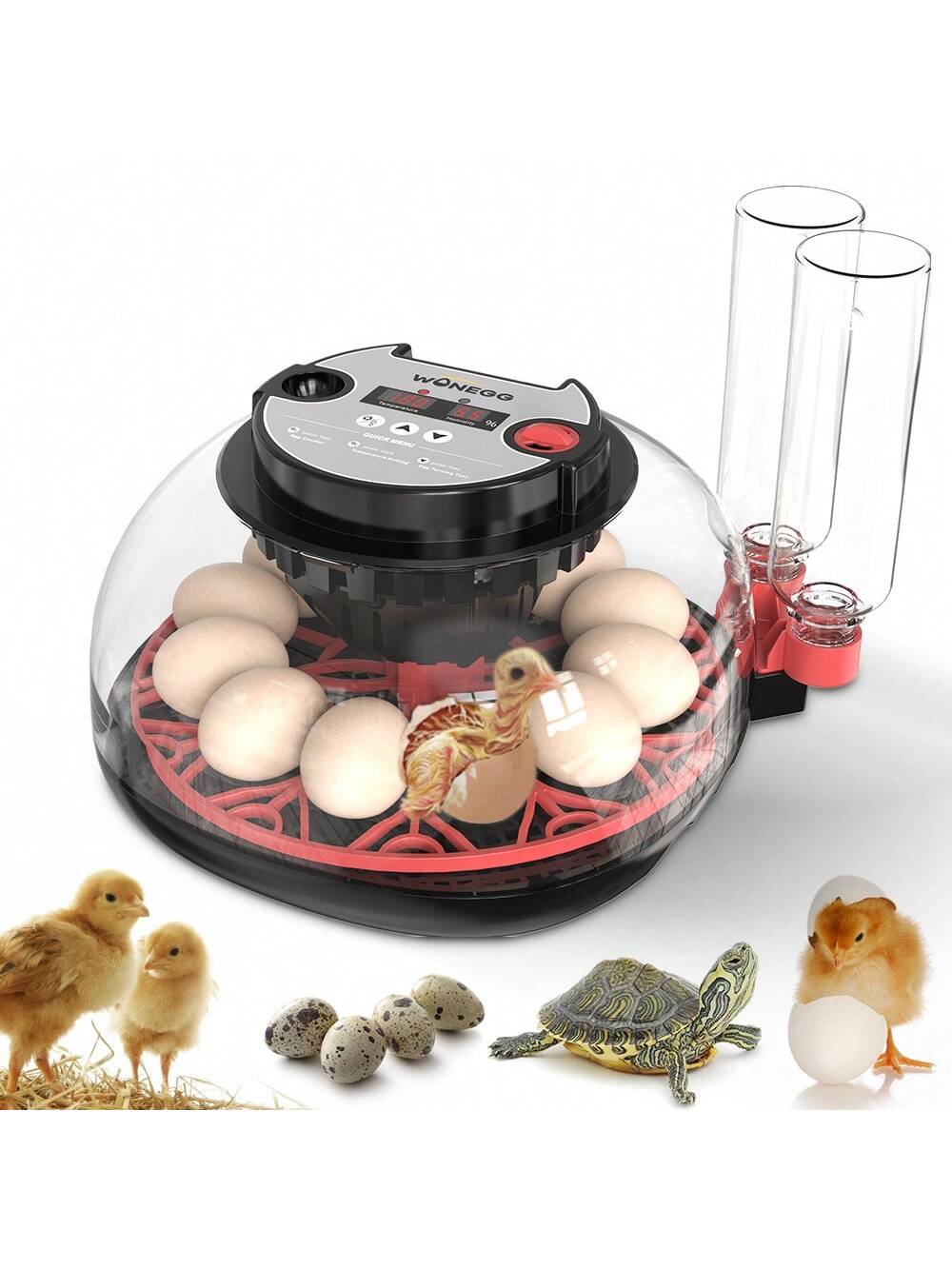 WONEEGG Egg Incubator For Hatching Chicks, Automatic Egg Turner Holds 12 Eggs, Smart Incubator 360° Clear Window With Temperature Display Egg Candler For Small Poultry Chickens Ducks Quails Eggs