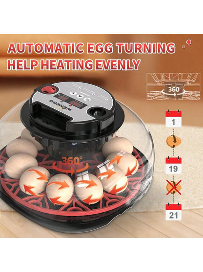 WONEEGG Egg Incubator For Hatching Chicks, Automatic Egg Turner Holds 12 Eggs, Smart Incubator 360° Clear Window With Temperature Display Egg Candler For Small Poultry Chickens Ducks Quails Eggs