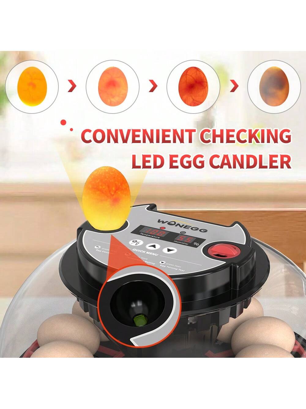 WONEEGG Egg Incubator For Hatching Chicks, Automatic Egg Turner Holds 12 Eggs, Smart Incubator 360° Clear Window With Temperature Display Egg Candler For Small Poultry Chickens Ducks Quails Eggs