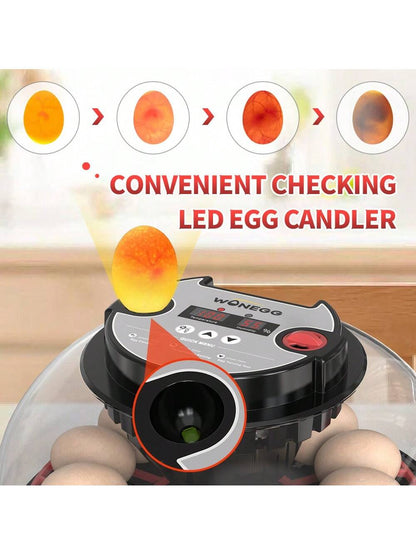 WONEEGG Egg Incubator For Hatching Chicks, Automatic Egg Turner Holds 12 Eggs, Smart Incubator 360° Clear Window With Temperature Display Egg Candler For Small Poultry Chickens Ducks Quails Eggs